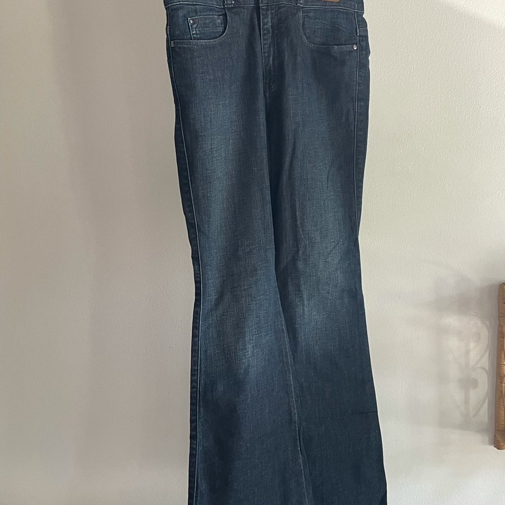 Pilcro Superscript Flare High Rise Jeans sz 29
